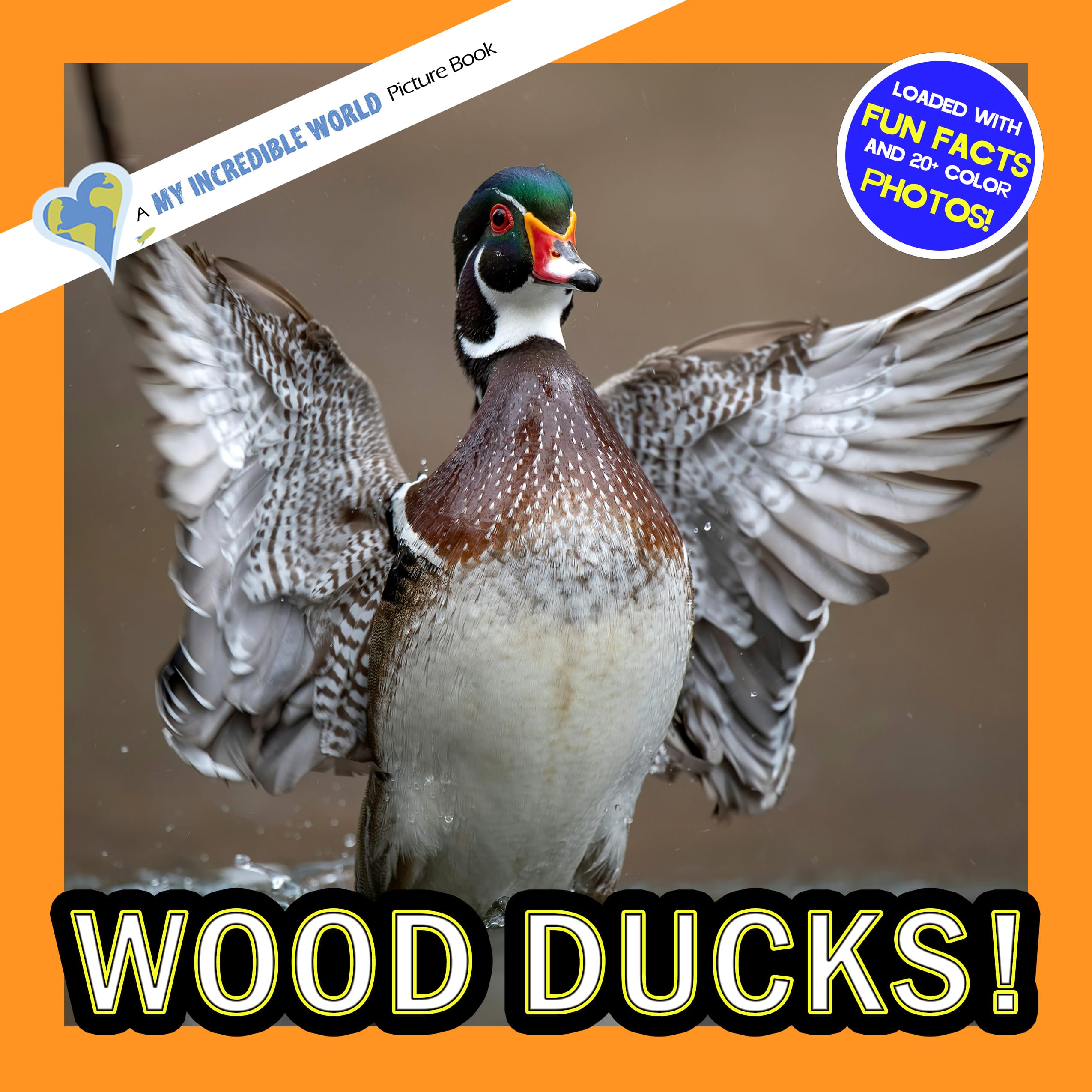 Wood Ducks! A My Incredible World Picture Book for Children